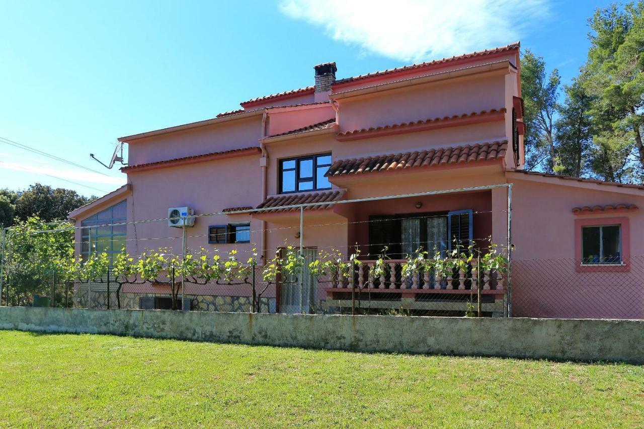 Apartmani Jagoda Bibinje Exterior photo